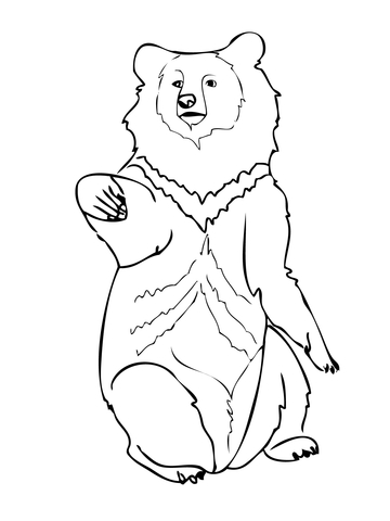 Asia Black Bear Coloring Page